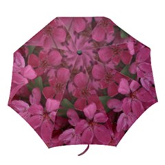 pink apple blossom16 umbrella - Folding Umbrella pink apple blossom16 umbrella - Folding Umbrella