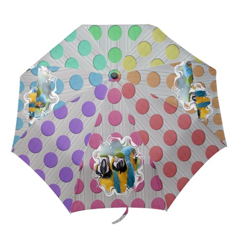 Folding Umbrella 