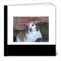 STUFF - 8x8 Photo Book (20 pages)