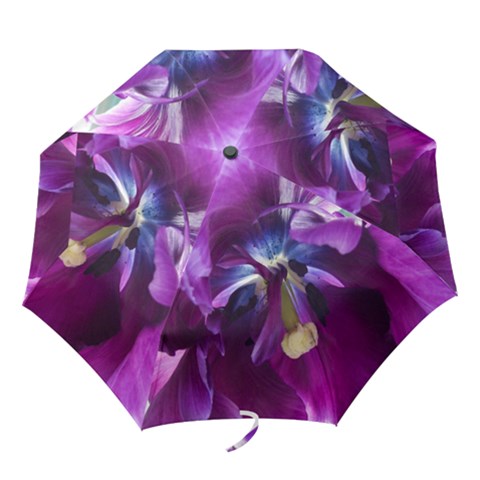 Folding Umbrella 