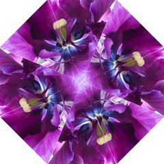 Purple Tulip - Folding Umbrella