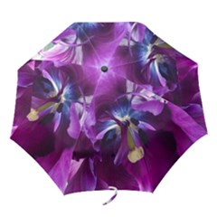 Purple Tulip - Folding Umbrella