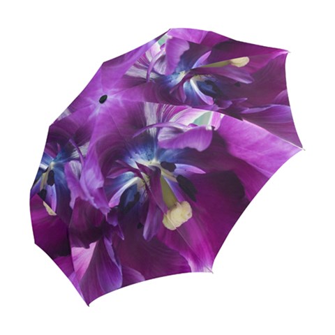 Folding Umbrella 