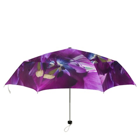 Folding Umbrella 