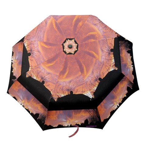 Folding Umbrella 