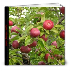 apple picking - 8x8 Photo Book (20 pages)