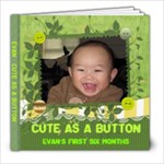 Evan s first six months - 8x8 Photo Book (20 pages)