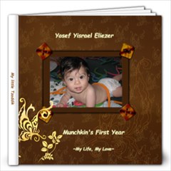 First year - 12x12 Photo Book (20 pages)