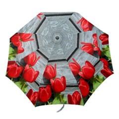 Amazing tulips - Folding Umbrella