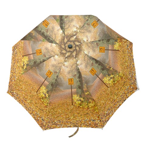 Folding Umbrella 