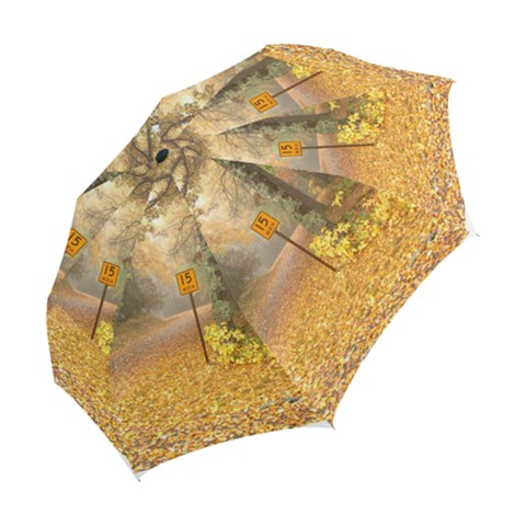 Folding Umbrella 