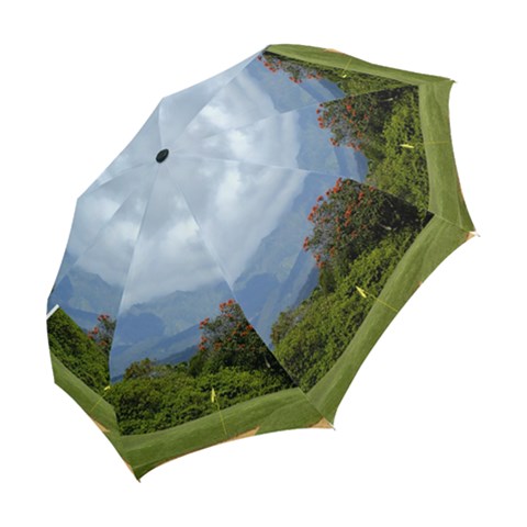 Folding Umbrella 