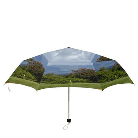 Folding Umbrella 