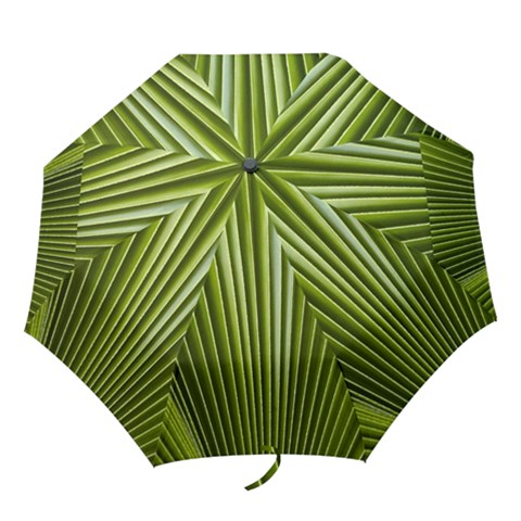 Folding Umbrella 