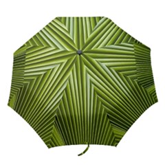 Exotic Palm Fronds - Folding Umbrella