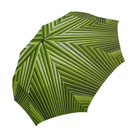 Folding Umbrella 