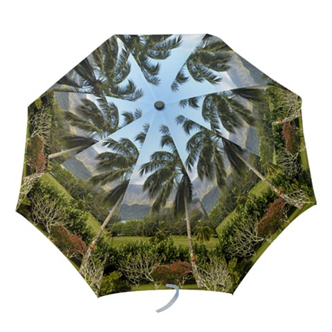 Folding Umbrella 