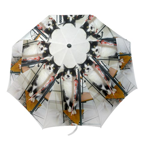 Folding Umbrella 