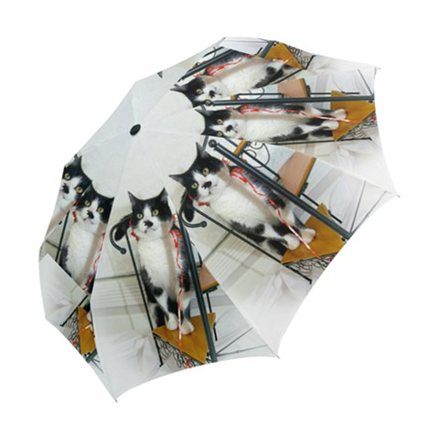 Folding Umbrella 