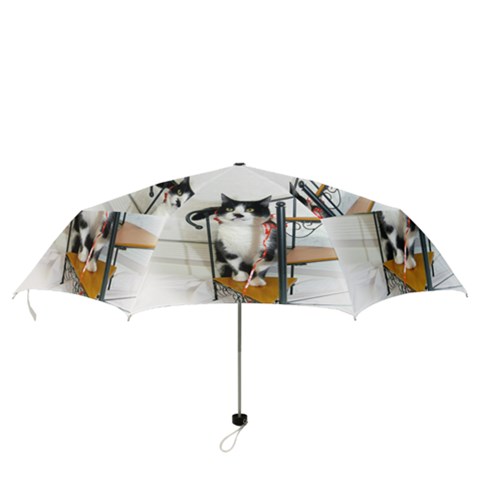 Folding Umbrella 