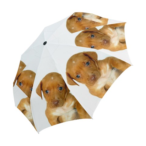 Folding Umbrella 