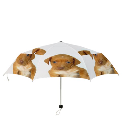 Folding Umbrella 