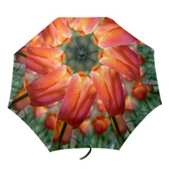 Tulip Garden - Folding Umbrella