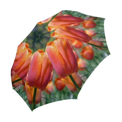 Folding Umbrella 