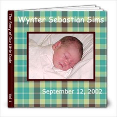 baby boy book - 8x8 Photo Book (20 pages)