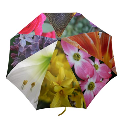 Folding Umbrella 