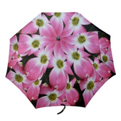 Pink Dogwood Umbrella - Folding Umbrella