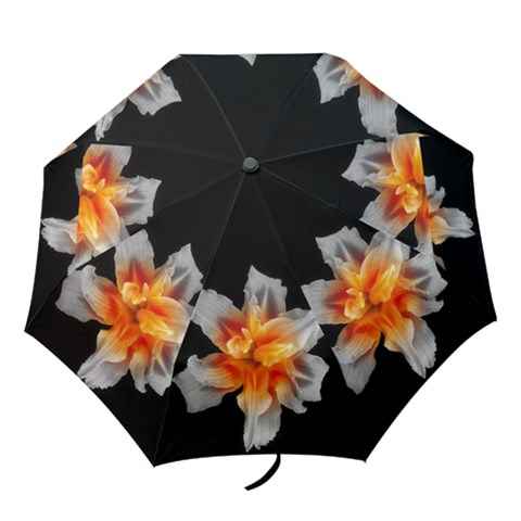 Folding Umbrella 