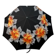 Black, White and Orange Lily - Folding Umbrella