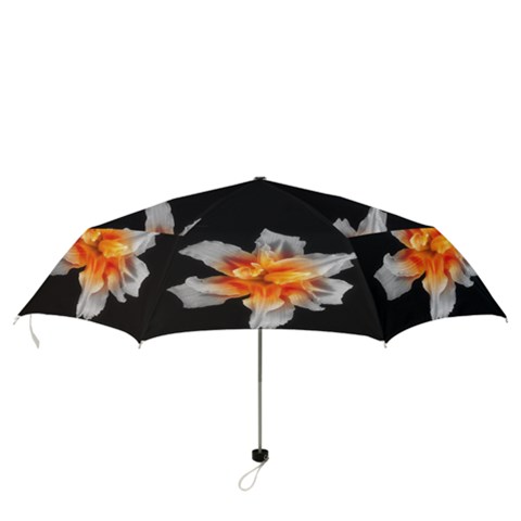 Folding Umbrella 