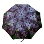 Lilacs - Folding Umbrella