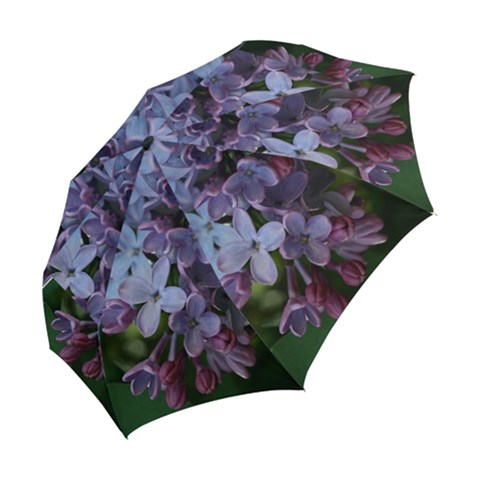 Folding Umbrella 