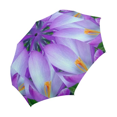 Folding Umbrella 