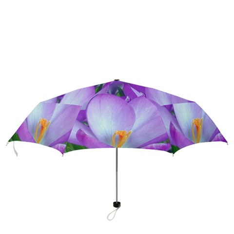 Folding Umbrella 