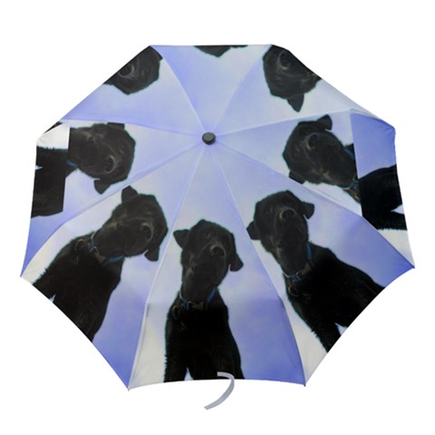 Folding Umbrella 