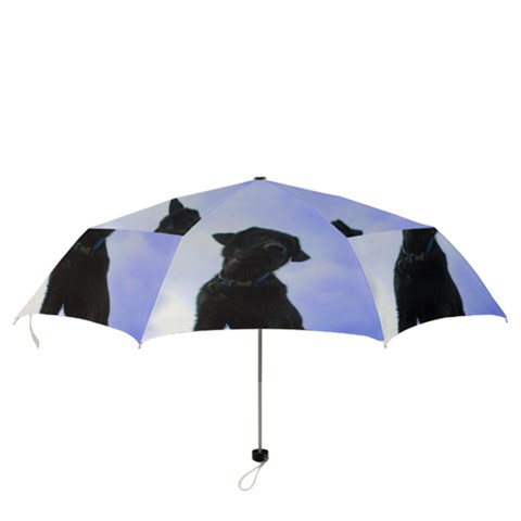 Folding Umbrella 