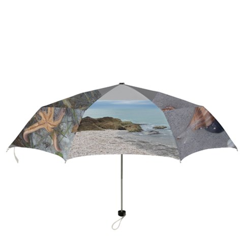 Folding Umbrella 