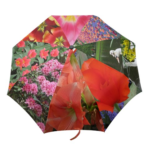 Folding Umbrella 