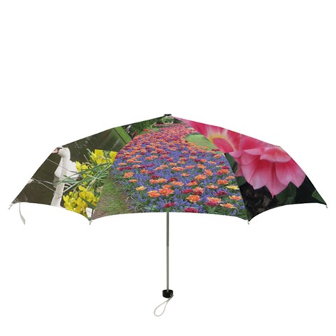 Folding Umbrella 