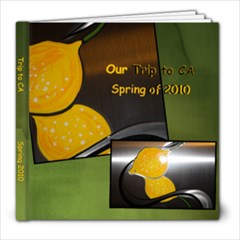 Treys Book - 8x8 Photo Book (20 pages)