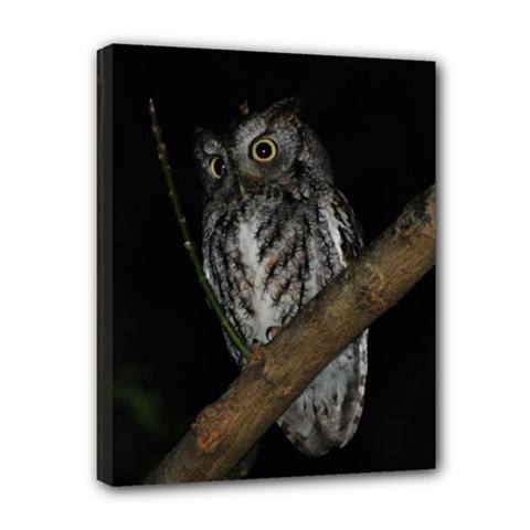 owl - Canvas 10  x 8  (Stretched)