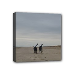 Mini Canvas 4  x 4  (Stretched) 
