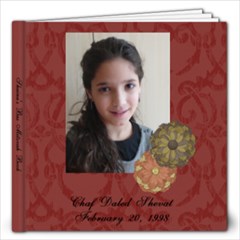 Shainas Bat mitzvah BOOK - 12x12 Photo Book (20 pages)