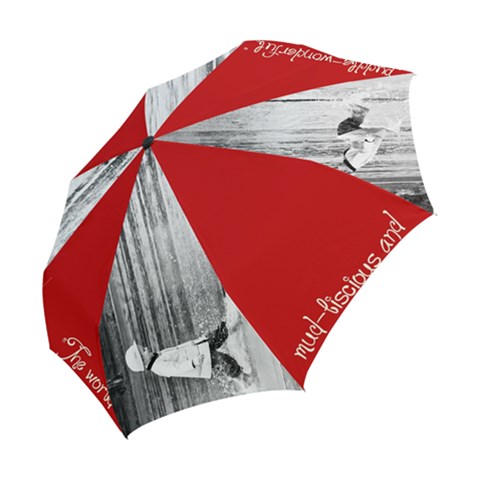 Folding Umbrella 