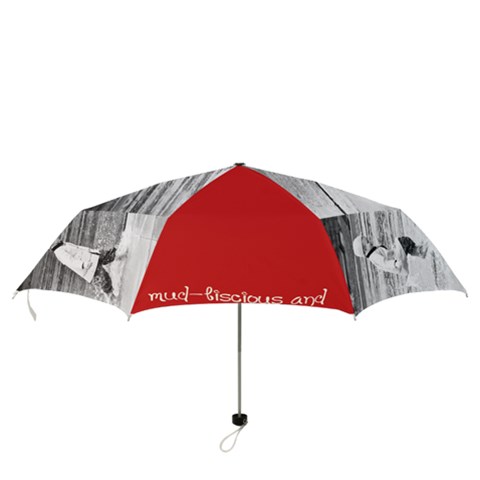 Folding Umbrella 