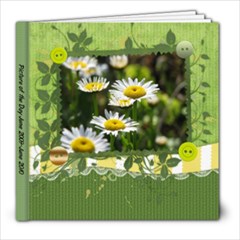 365 Project - 8x8 Photo Book (30 pages)